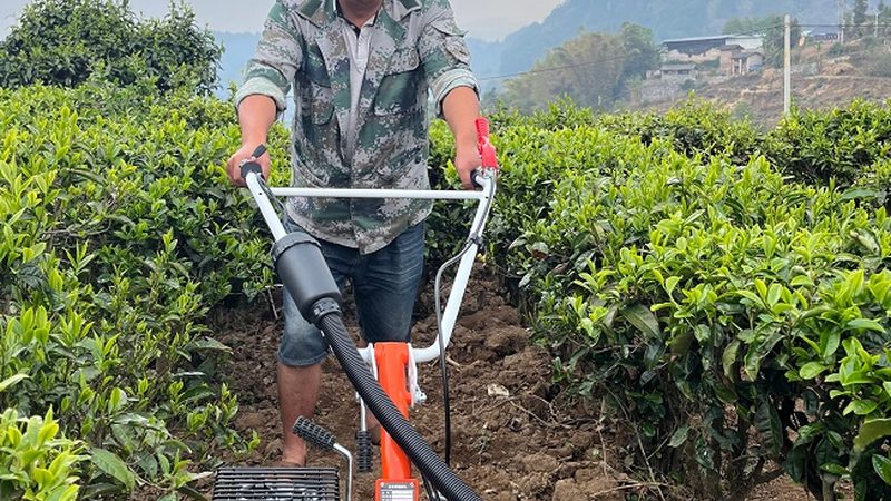 揭秘山东兔子饲料颗粒机：关键参数与选购指南