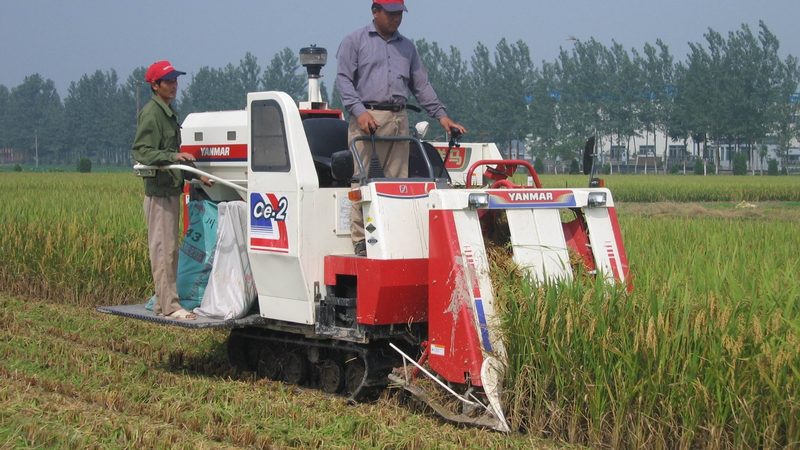 小型拖拉机省油秘籍：如何选对型号，降低亩均燃油消耗**