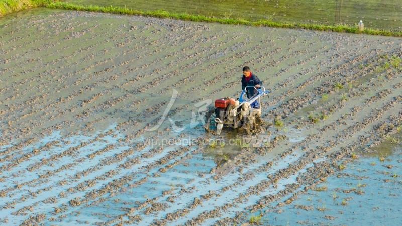 食品工业烘干机：型号规格解析与选型要点